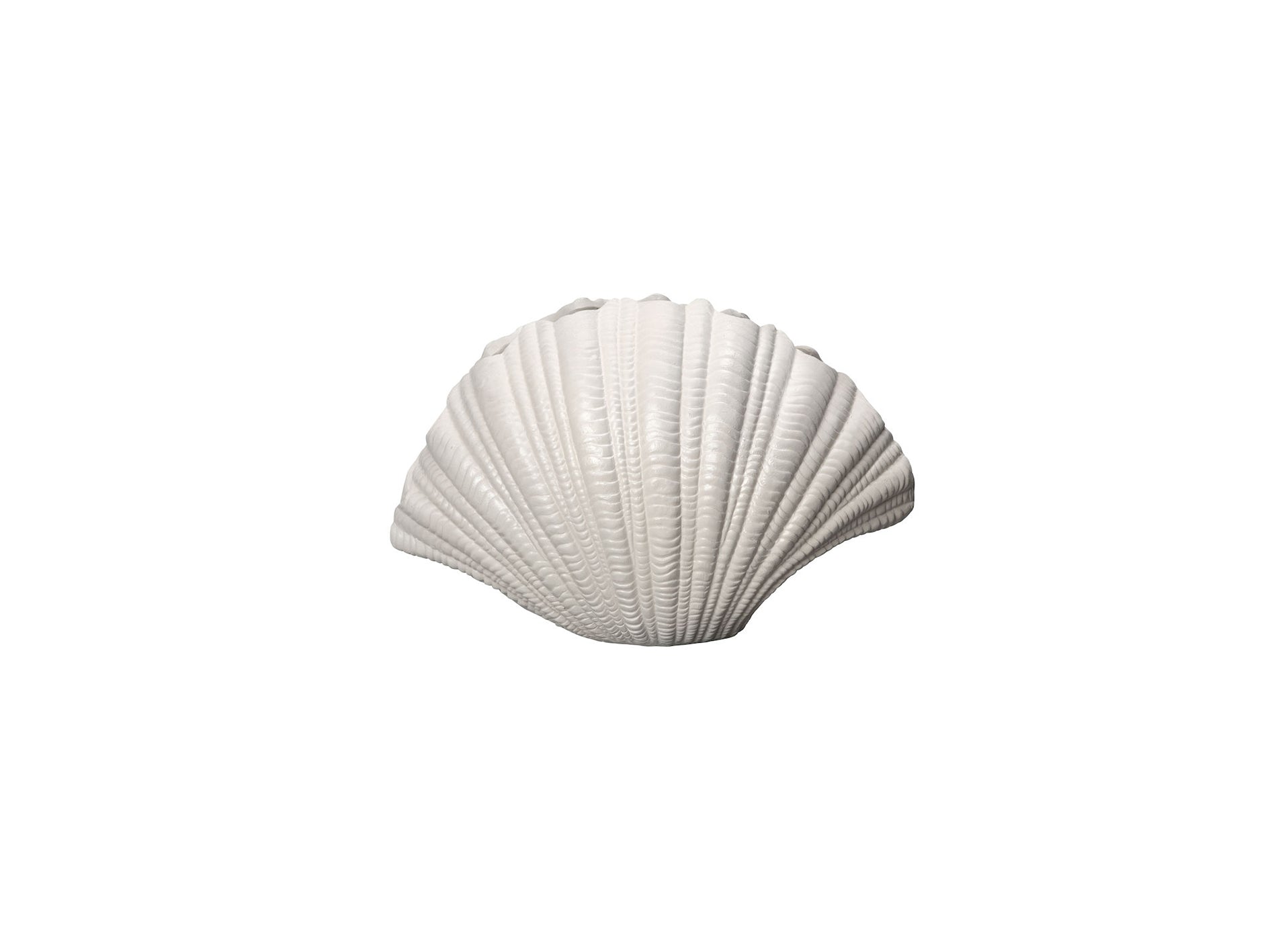 Vase Shell